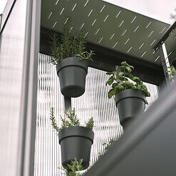 Set rastlinskih lončkov Florentina