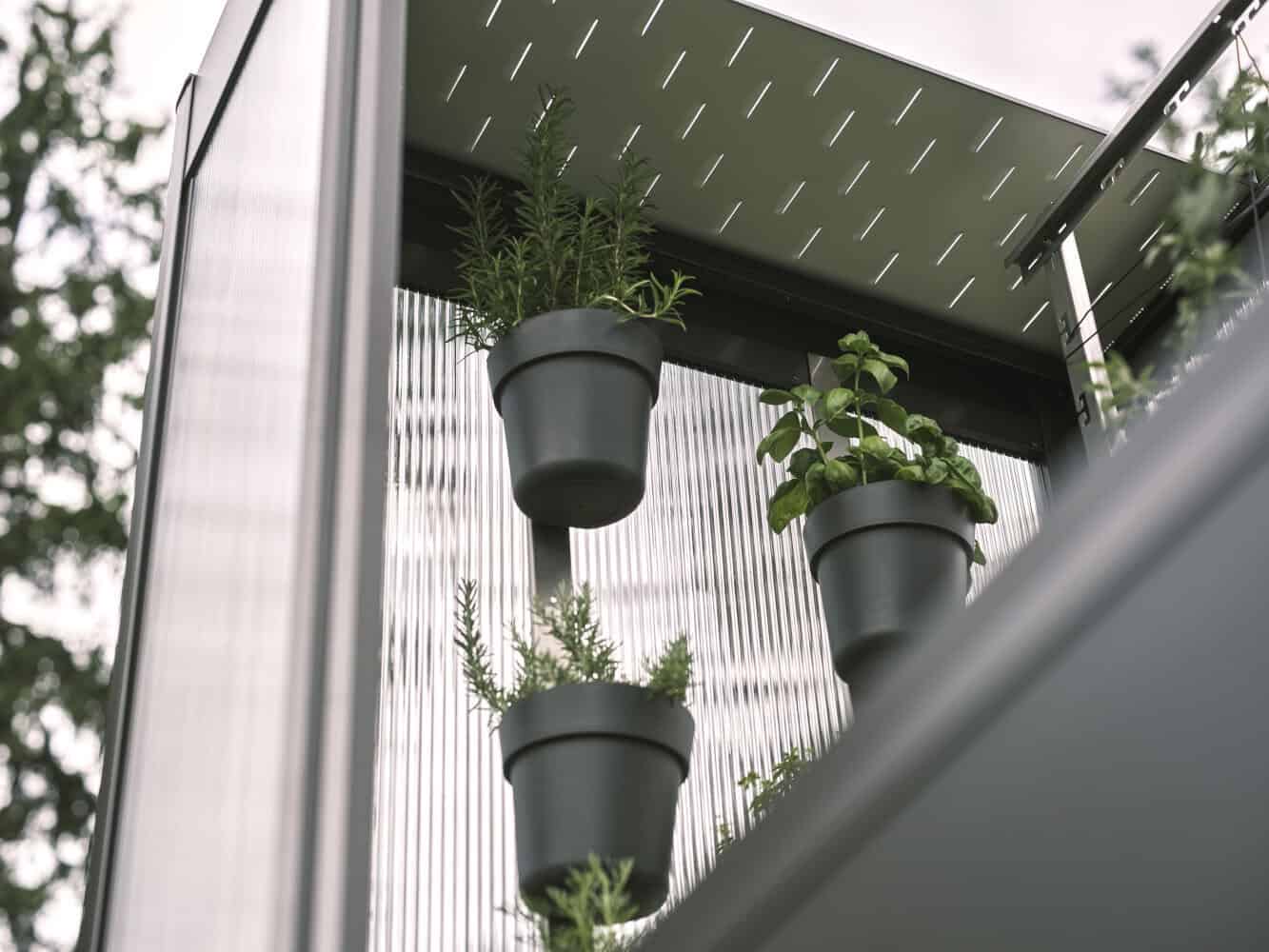 Biohort rastlinjak Florentina - slika 5